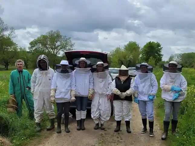 Rucher communal avec ruche pour apiculture locale.