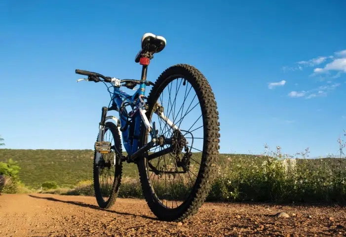 VTT de la police municipale Hirondelles en action.