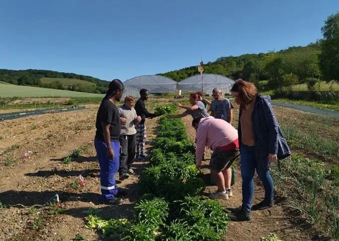 Insertion professionnelle : clés pour réussir l'insertion.