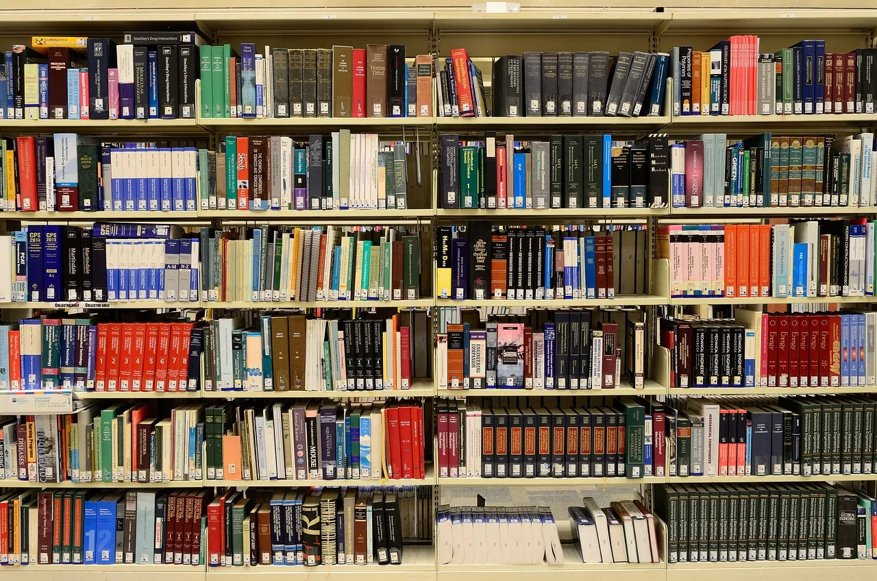 Bibliothèque Saint-Rémy en été, activités estivales.