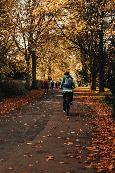 Application vélo pour un tourisme actif.