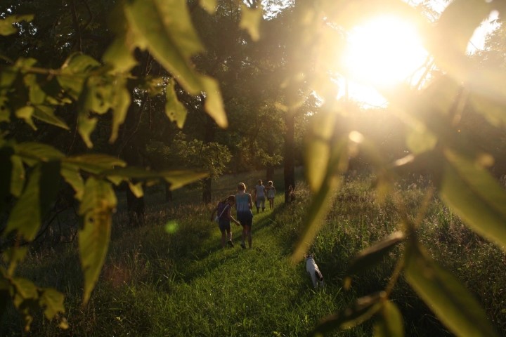 Promenades intergénérationnelles en pleine nature.