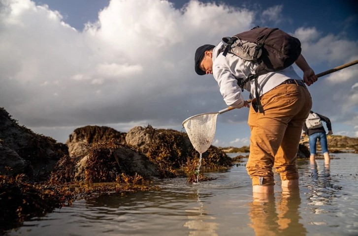 Pratiques de pêche à pied en milieu naturel.