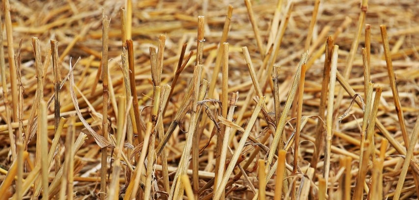 Matériaux écologiques biosourcés pour construction durable.