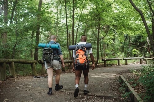 Randonnées accessibles pour tous dans la nature.