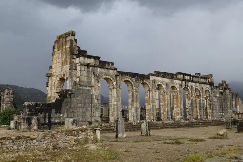 Tarification dynamique pour prix patrimoine optimisés.