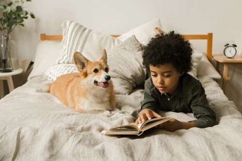 Chiens de lecture : compagnons pour la lecture.